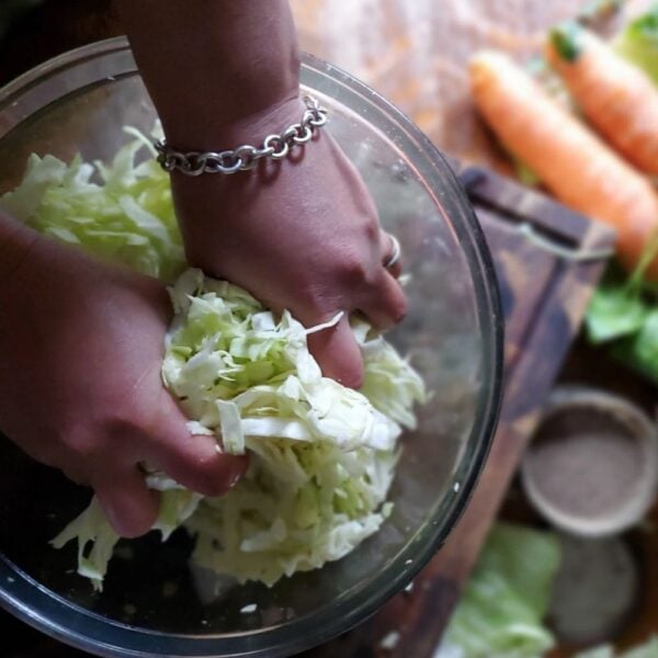Hands-on fermentation workshop hosted by Ann Accetta-Scott of A Farm Girl in the Making.